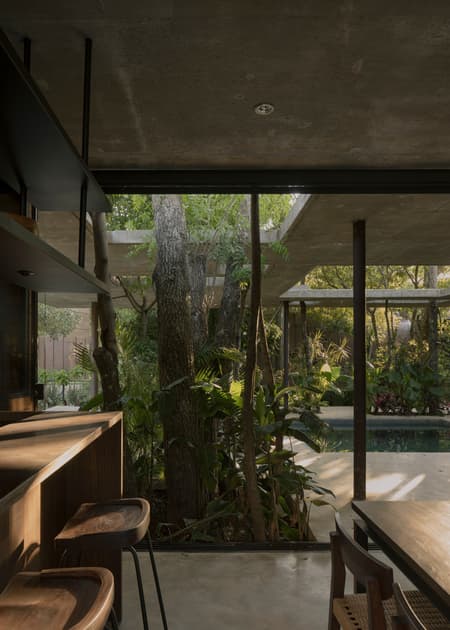 A Forest in the House